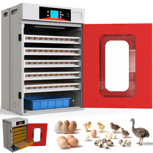 Egg incubator with digital display, eggs, chicks, and a red door on a white background at Pet Servo