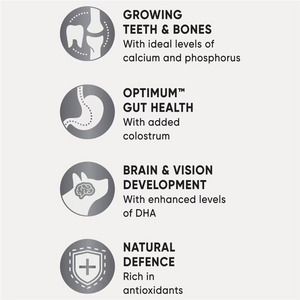 Optimum - Kitten 2-12 Months Dry Cat Food With Chicken 800g - Petservo