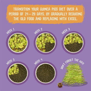 Burgess Excel Guinea Pig Pellets 1.5kg_Blackcurant & Oregano_PetServo-4