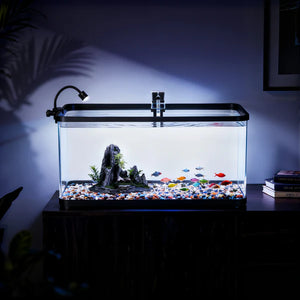 Fish tank with decorative elements on a dark surface