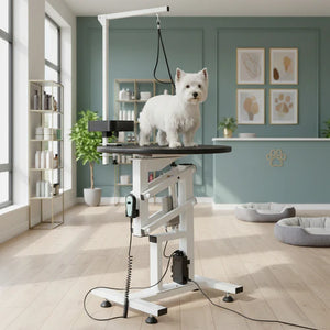 White dog on a grooming table in a modern pet salon with light blue walls and large windows at Pet Servo