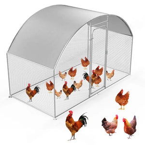 Chicken coop with chickens on a white background at Pet servo