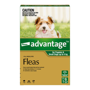 Elanco Advantage flea treatment packaging for puppies and small dogs with a dog on the grass at Pet Servo