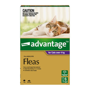 Elanco Advantage flea treatment for cats over 4 kg packaging at Pet Servo