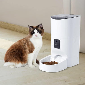 A brown and white cat sits beside a white automatic pet feeder with a food bowl on a light wood floor in a neutral indoor setting at Pet Servo