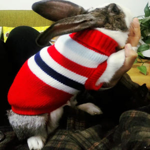 GHAOSG - Red Stripe Puppy & Kitten Knit Sweater - Petservo