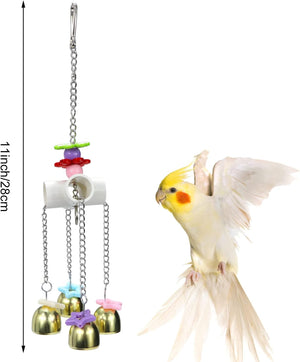 Bird toy with chains and bells next to a parrot on a white background at Pet Servo