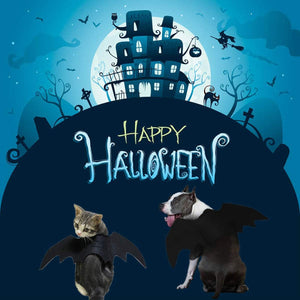 Halloween-themed graphic with a haunted house, full moon, bats, and the words “Happy Halloween” above two pets wearing black bat costumes. The background is blue with spooky silhouettes at Pet Servo