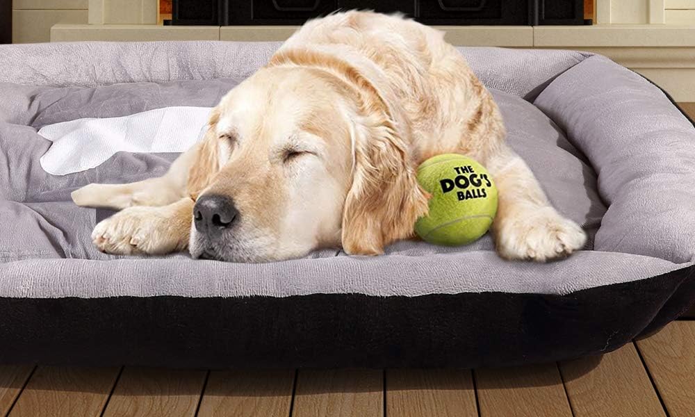 PaWz Large Dog Bed with Warm Mattress Cushion with Non-Slip Bottom and PP Cotton at Pet Servo