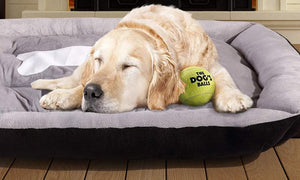 PaWz Large Dog Bed with Warm Mattress Cushion with Non-Slip Bottom and PP Cotton at Pet Servo