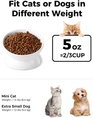 Cat food bowl with text about weight categories for cats and dogs, including a 5 oz measurement at Pet Servo