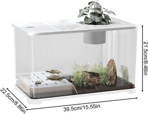 Small terrarium with plants and turtles, showing dimensions on a white background at Pet Servo