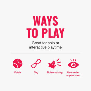 Text and icons on a white background about ways to play with a product at Pet Servo