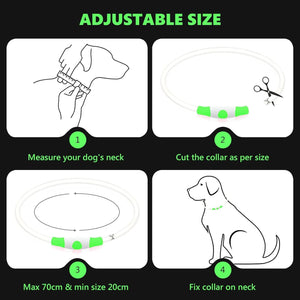 Dehlso - LED Dog Collar – Rechargeable Light-Up Safety Gear - Petservo