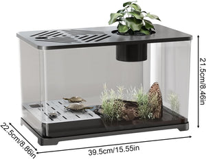 Small terrarium with plants and small animals, featuring dimensions on a white background at Pet Servo