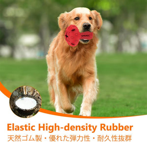 Dog running with a red rubber toy in its mouth on a grassy field at Pet Servo
