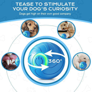 Dog toy with 360-degree design to stimulate a dog's curiosity, surrounded by images of dogs interacting with the toy at Pet Servo