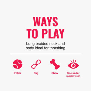 Text and icons explaining ways to play with a product, including fetch, tug, chew, and supervise at Pet Servo