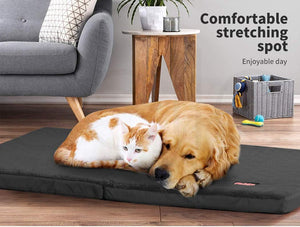 Dog and cat lying on a large black pet mat in a cozy living room at Pet Servo