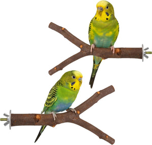 Two green and yellow parakeets perched on wooden branches against a white background at Pet Servo