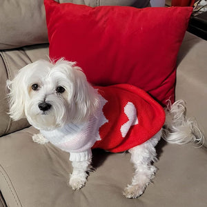 GAHOSG - Red Heart Dog & Cat Turtleneck Sweater - Petservo