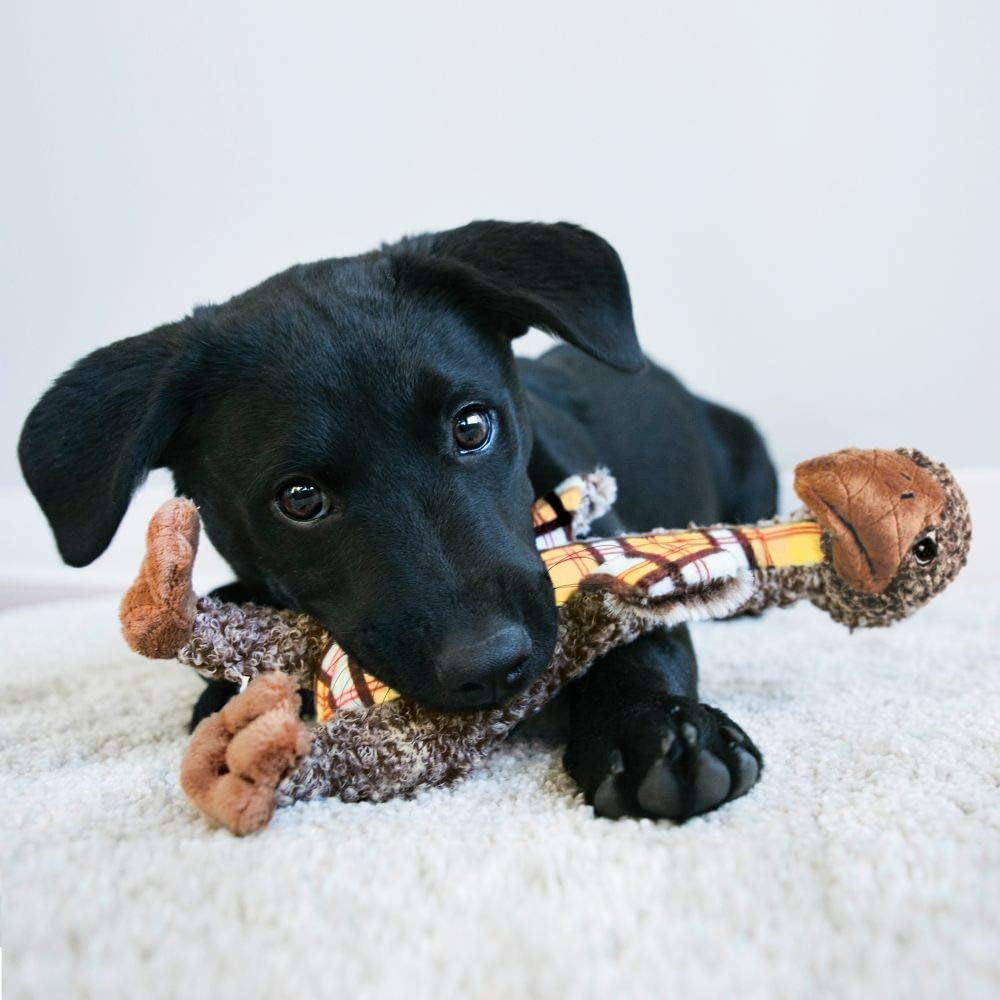 Black puppy playing with a chew toy on a white surface at Pet Servo