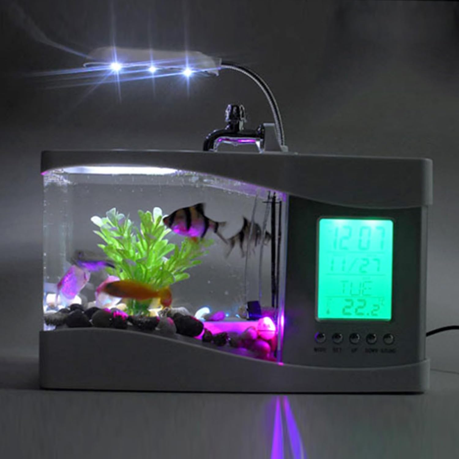 Small aquarium with LED lights and digital display on a dark background at Pet Servo