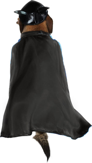 Dog wearing a black cape and hat on a white background at Pet Servo
