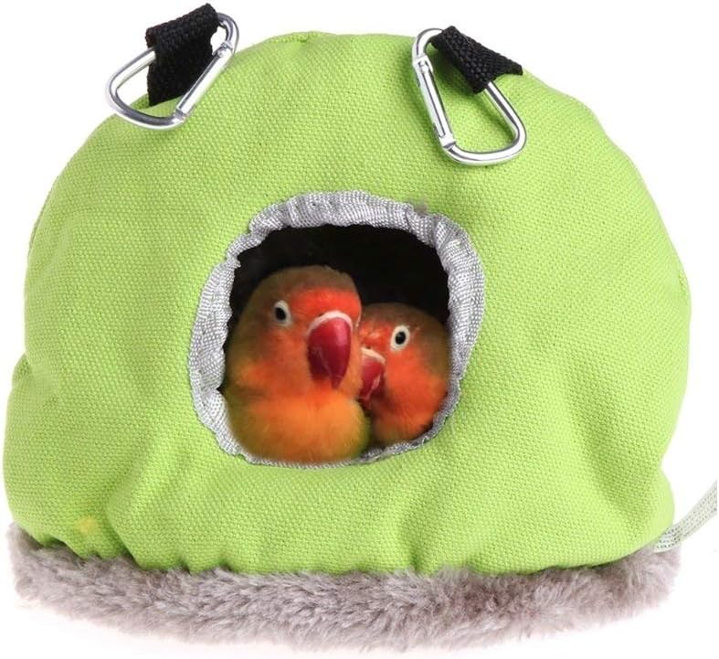 Green bird nest with two birds peeking out on a white background at Pet Servo