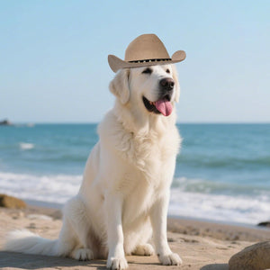 White dog wearing a cowboy hat on a beach with ocean in the background at Pet Servo