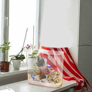 Small aquarium with decorative elements on a windowsill with plants at Pet Servo