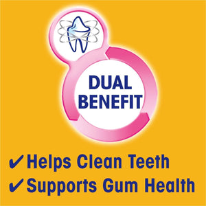 Pedigree Dentastix Chewy Chunx Treats Maxi Smoky Chicken at Pet Servo-3
