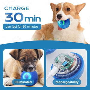 Dog playing with a blue toy, with text about charging time and features at Pet Servo