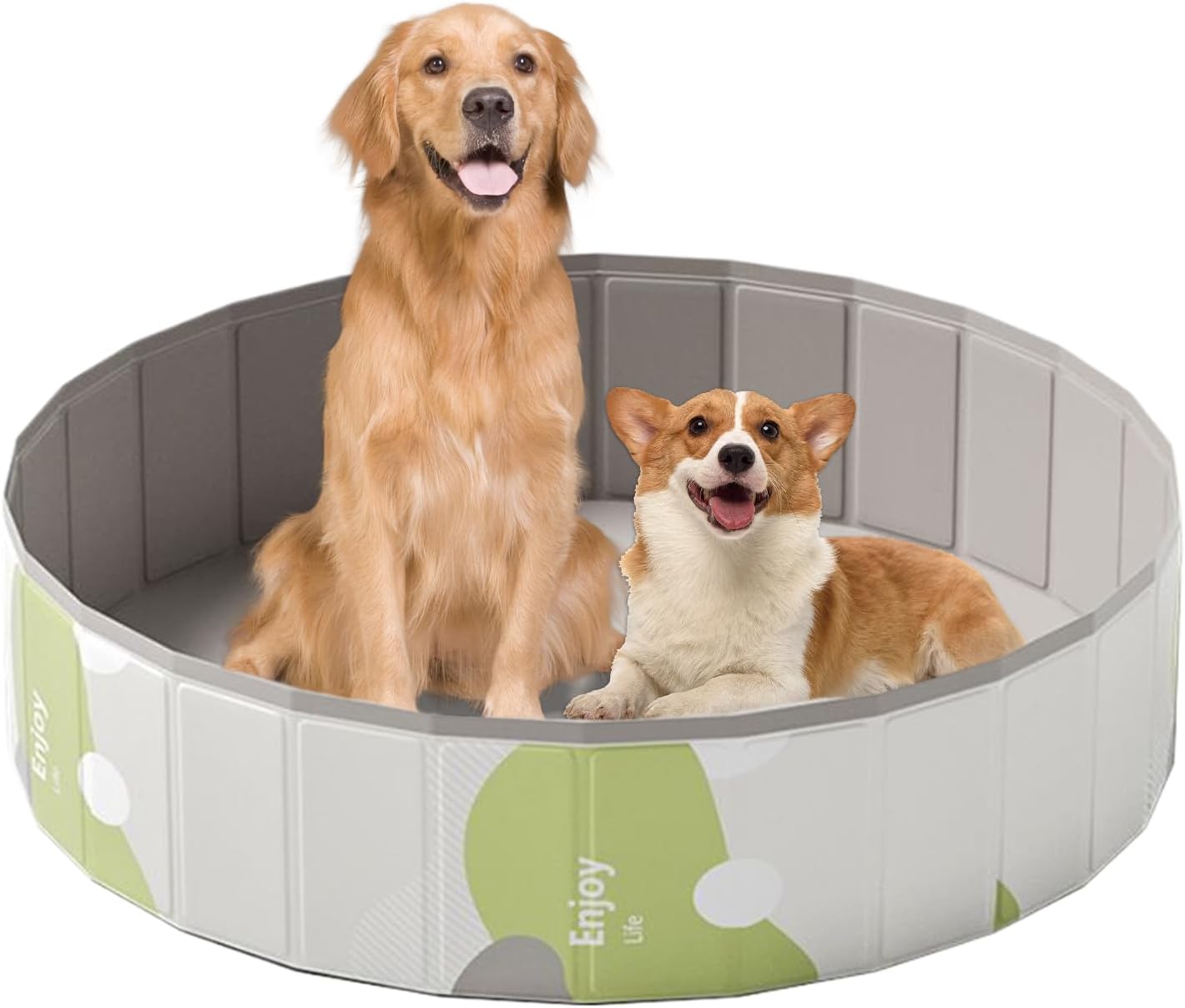Two dogs inside a portable dog pool with 'Enjoy Life' branding on a white background at Pet Servo