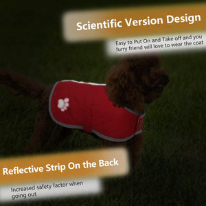 Dog wearing a red coat with a reflective strip on a grassy background at Pet Servo
