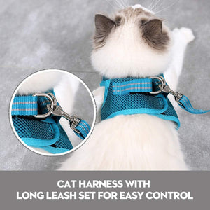 Cat wearing a blue harness and leash set on a gray background at Pet Servo