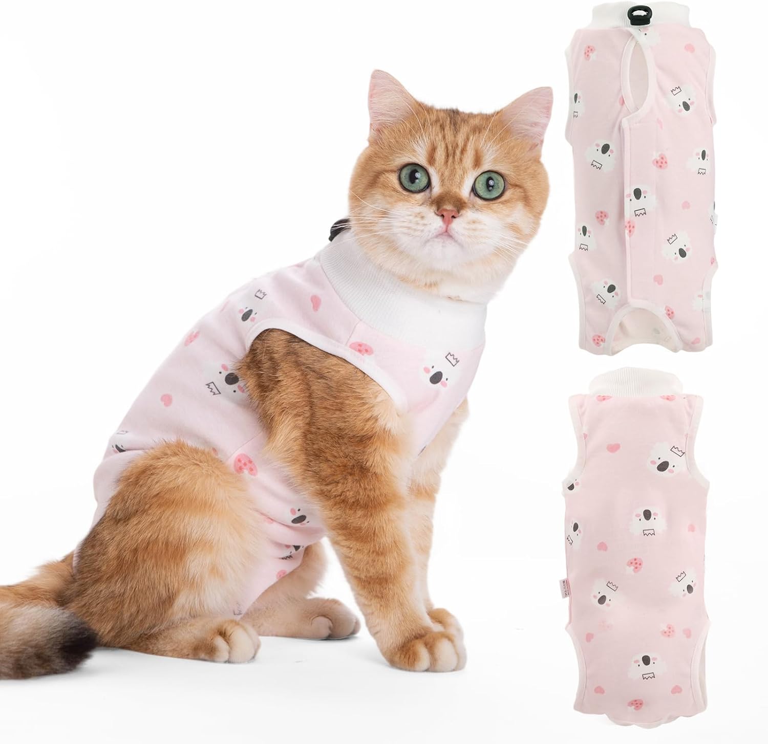 Cat wearing a pink outfit with patterned leg wraps on a white background at Pet Servo