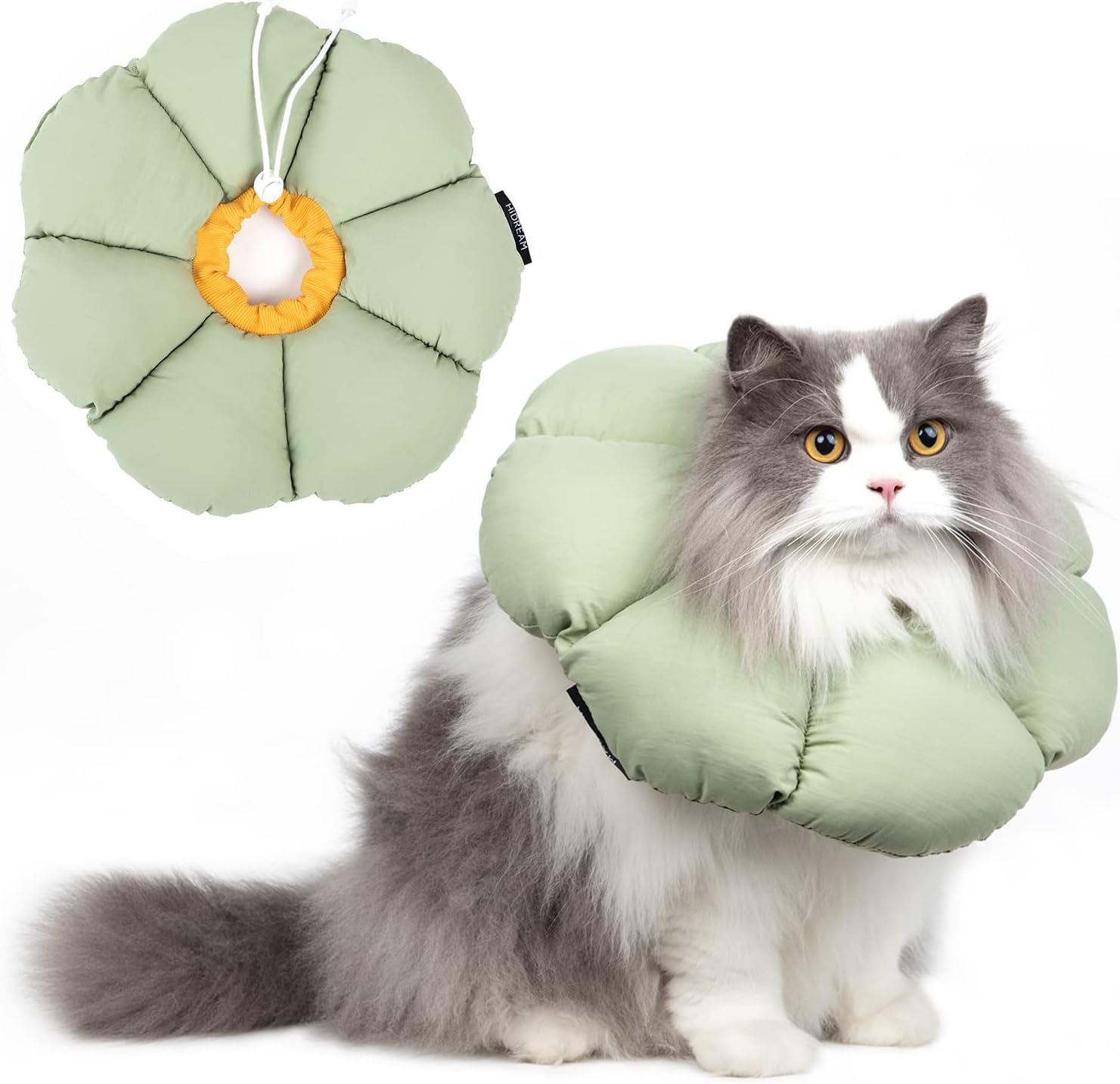 Cat wearing a green pet cone-shaped product with a matching green toy above it on a white background at Pet Servo