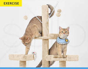 Two cats playing on a beige cat tree with scratching posts, hanging balls, and a feather toy against a light gray background. A yellow 'EXERCISE' label appears in the top-left corner at Pet Servo