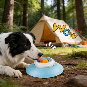 Dog playing with a toy in a forest setting with a tent in the background at Pet Servo