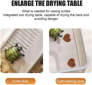 Tortoise drying table with turtles and a feeding area on a white background at Pet Servo