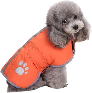 Dog wearing an orange vest with a paw print on a white background at Pet Servo