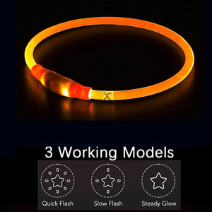 Dehlso - LED Dog Collar – Rechargeable Light-Up Safety Gear - Petservo