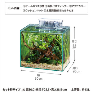 Glass aquarium with plants and measurements on a white background at Pet Servo