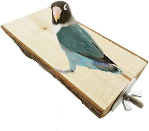 Blue and green parakeet on a wooden perch with a white background at Pet Servo