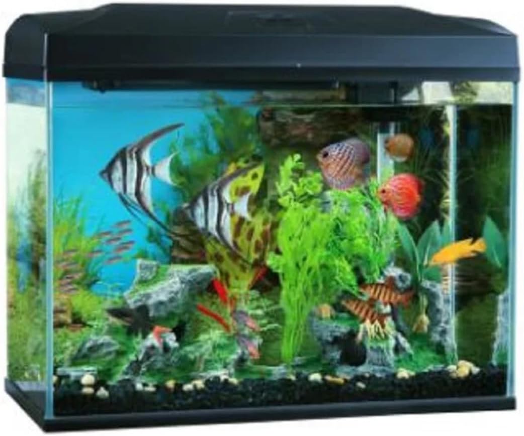 Fish tank with various fish and plants inside at Pet Servo