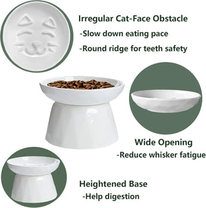 White pet bowl with features highlighted on a white background at Pet Servo