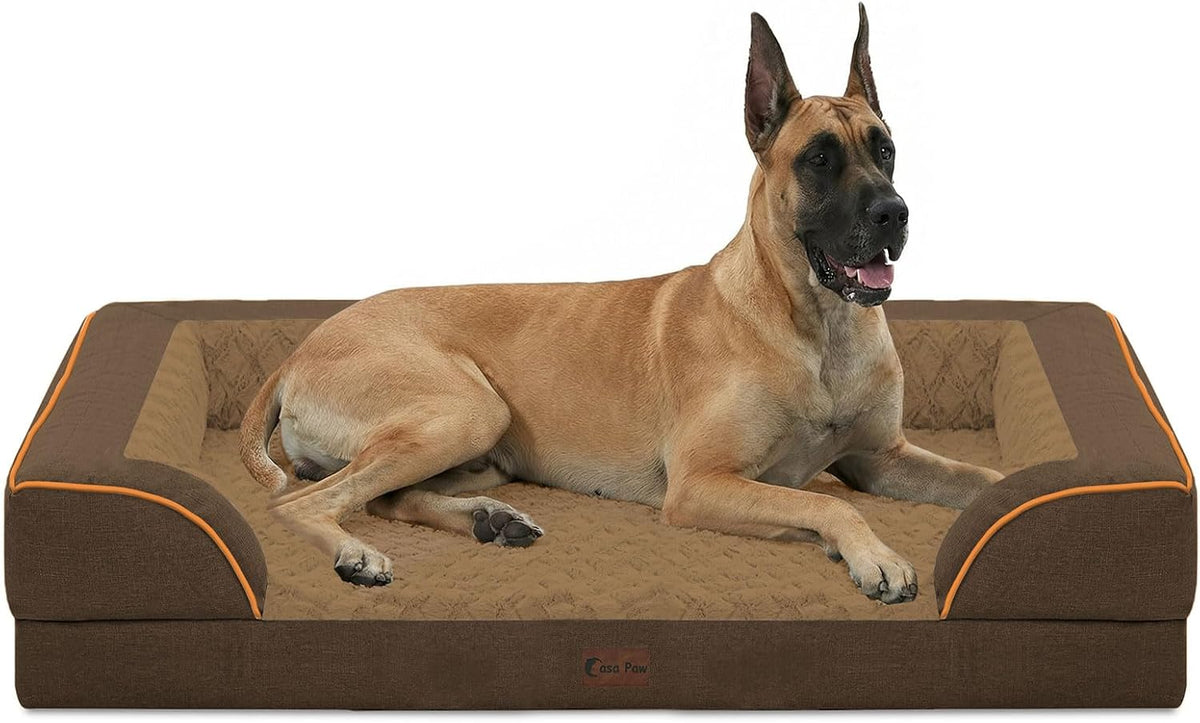 Dog lying on a brown pet bed with orange trim at Pet Servo