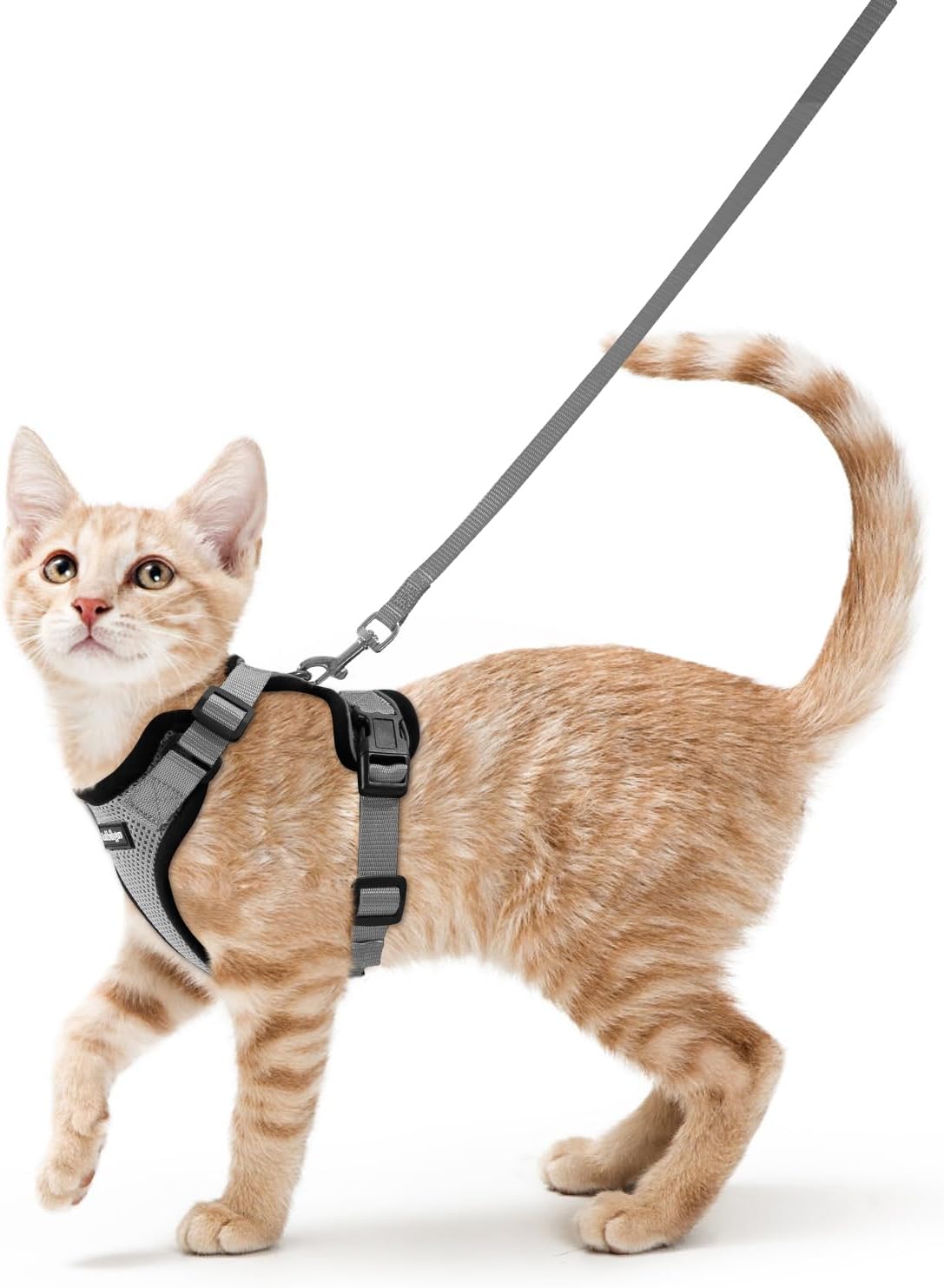 Rabbitgoo - Soft Adjustable Vest Harnesses for Cats (Grey)