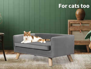 Cat lying on a small gray sofa with a green wall and wooden furniture in the background at Pet Servo